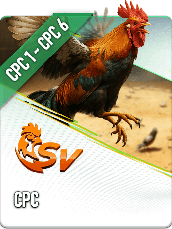ĐÁ GÀ E2BET